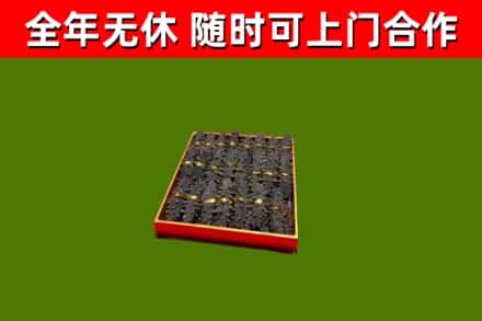 宝清县回收海参
